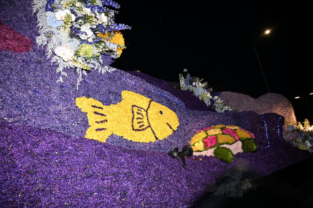 ../Images/Verlicht bloemencorso 2025 056.jpg